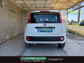 FIAT Panda 1.3 mjt 16v Easy s&s 95cv 5