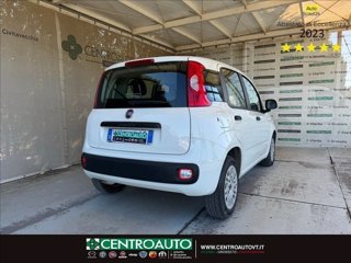 FIAT Panda 1.3 mjt 16v Easy s&s 95cv 6