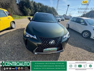 LEXUS UX 250h 2.0 Business 2wd cvt my20 1