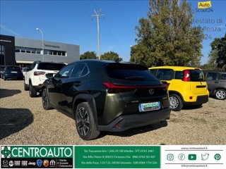 LEXUS UX 250h 2.0 Business 2wd cvt my20 4