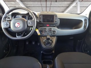 FIAT Panda 1.0 firefly hybrid Cross s&s 70cv 5p.ti 11